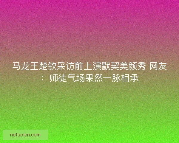 马龙王楚钦采访前上演默契美颜秀 网友：师徒气场果然一脉相承